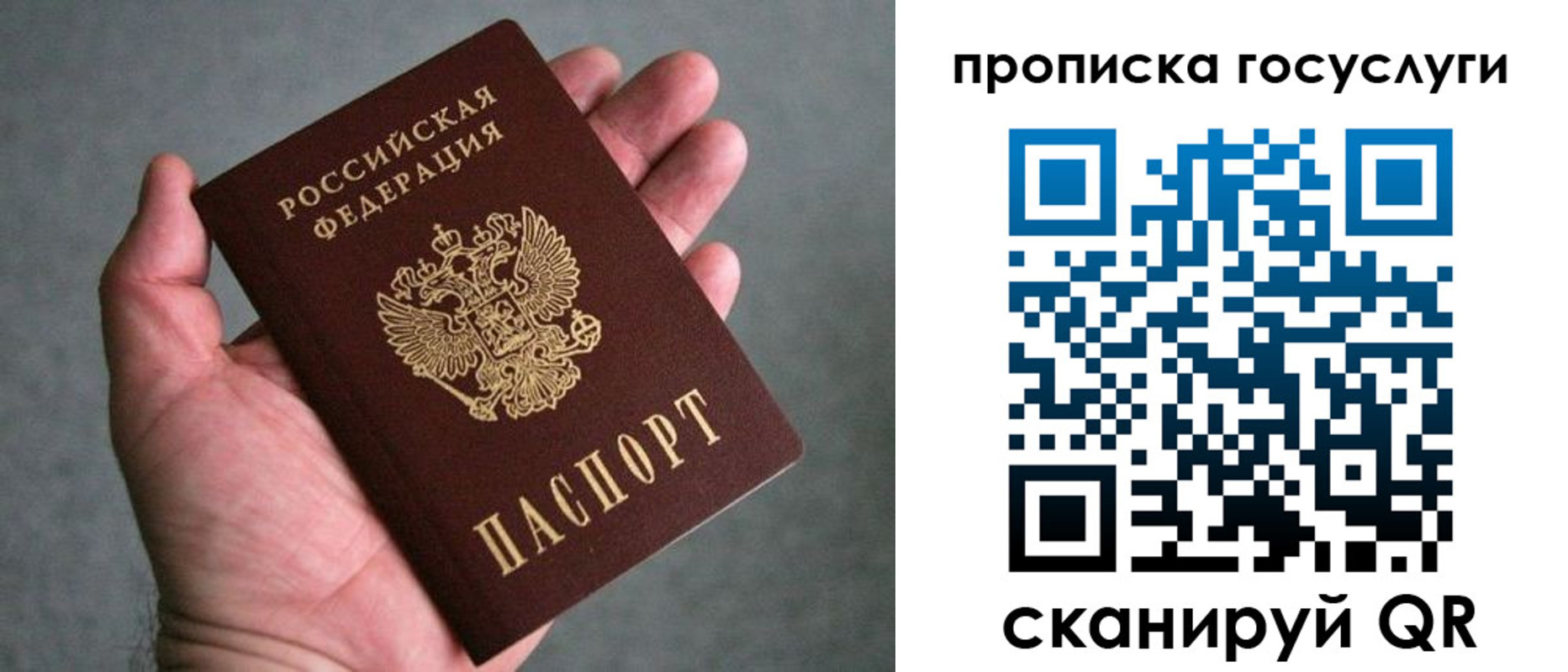 прописка 2025 в Знаменске